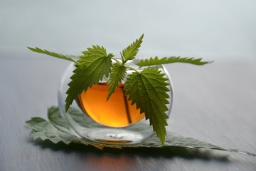 L'ortie : La reine des mauvaises herbes L'ortie : La reine des mauvaises herbes