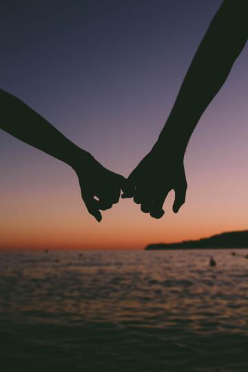 Le couple, une évidence ? Le couple, une évidence ?