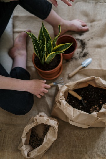 Faisons un pas vers la nature : Atelier Plantes sauvages comestibles et médicinales